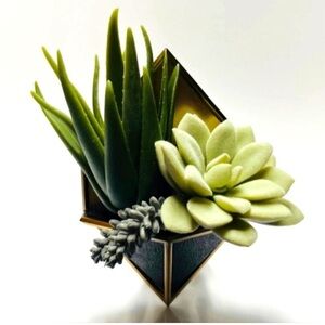 Bath and Body Works Geometric Succulent Wallflower Diffuser Plug In Holder
